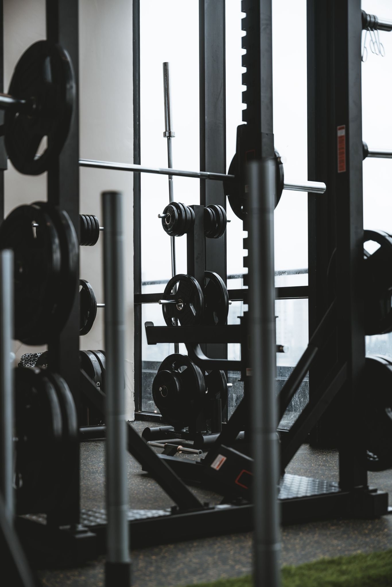 Signature Gym Equipment